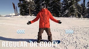 76K views · 354 reactions | Are you a regular joe or a goof troop? Figure it out now: https://goo.gl/eWGhKD | Snowboard Addiction | Facebook