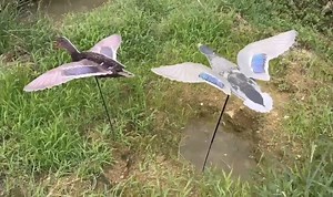 [Hot Item] Hunting Decoy Mallard Drake and Hen Motion Motorized Duck Decoy Simple Installation of Portable Flying Hunting Male and Female Duck Baits