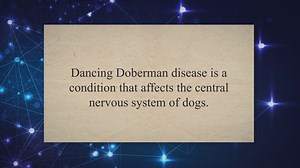 Dancing Doberman Disease: Causes, Signs, and Treatment