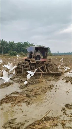 solis 4215 full cage wheels puddling