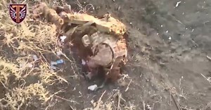 Soldiers of 77th Brigade eliminated 35 occupiers in Kupiansk district. VIDEO