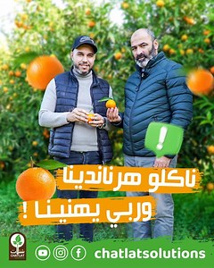 151K views · 7K reactions | اليوم السيد عبد الجبار طل عليكم من سهول متيجة ، بالضبط في جنان صديقنا لي غارس نوعية كليمونتين هرناندينا. واااش نحكو واااش نخلو على هذا النوع  تبعوا هذا الفيديو باش تتعرفوا معنا على خصائصه ومميزاته #Chatlat_Solutions #LandHumanProgress | Chatlat شتلات | Facebook