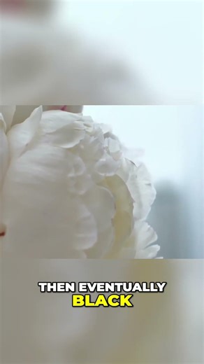 Color Mixing: Why Combining Colors Makes Black & White #shorts