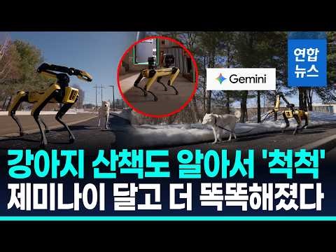 구글 AI 제미나이 품은 '스팟'…"맥락 이해하고 자율 행동" / 연합뉴스 (Yonhapnews)