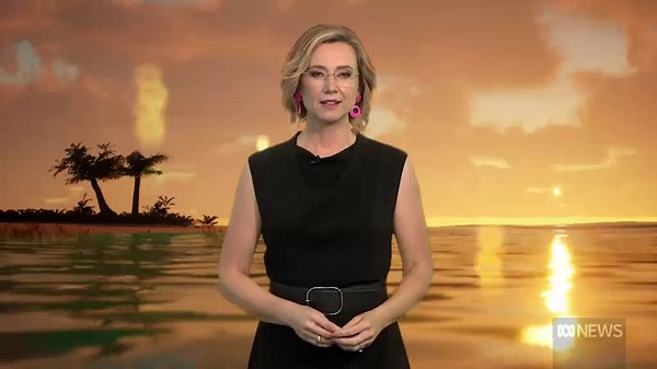 More shark nets, drumlines, drones outlined in $88m government investment but legality of move questioned