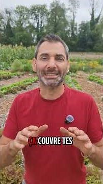 Sowing and planting in September