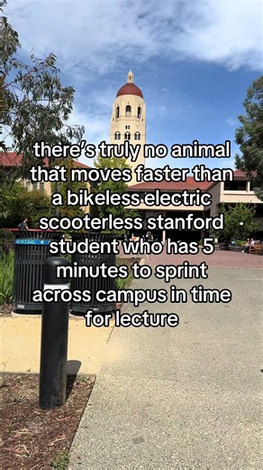 A Day in the Life of a Stanford Student