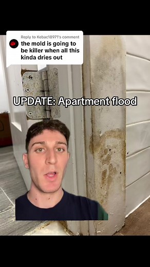 Brother's Apartment Flood Update: Disgusting Water Damage Revealed