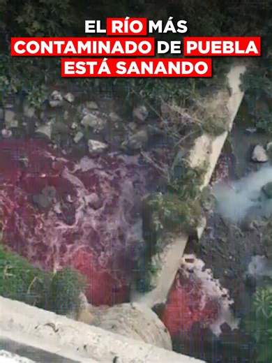 El río más contaminado de Puebla está sanando