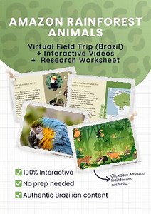 AMAZON RAINFOREST ANIMALS Virtual Field Trip   Videos   Research Worksheet
