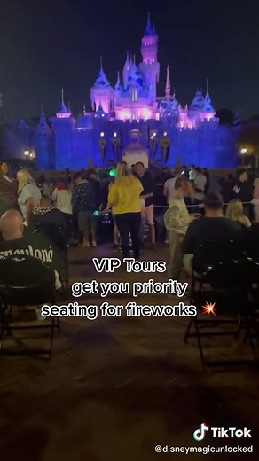 #disneyvip #disneyviptour #disneyfireworkshow #disneyland #disneyadult #disneydays #disneytok #disneytiktok #disneyfriends #disneygram #disney✨