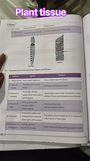 plant tissue in detailed explanation#important questions related to plantation CBSE 9th