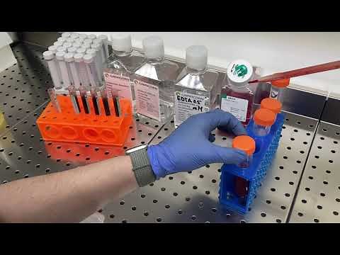 Peripheral Blood Mononuclear Cells: Isolation, Freezing, Thawing, and Culture. Part I