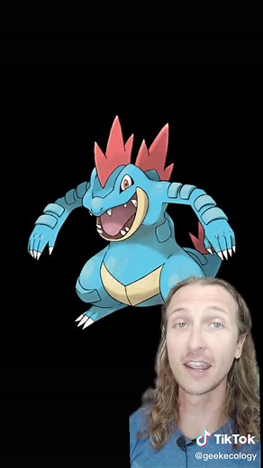 Exploring Feraligatr's Evolutionary Line in Pokemon Ecology