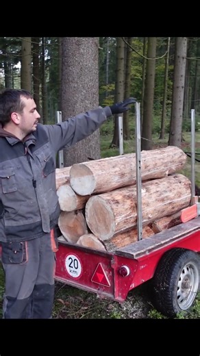 Těžba dřeva s řetězovou pilou Husqvarna, malotraktorem Vari Honda gcvx200 5/6 nakládání