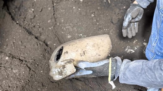 201K views · 4.6K reactions | Beneath the sun-baked ruins of Tula,...