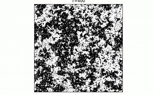 伊辛模型（ISing Model)模拟