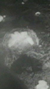 80 år efter atombomben over Hiroshima, leder man stadig efter spor fra ofre. Omkring 60-80.000 mennesker mistede livet øjeblikkeligt, og store dele af Hiroshima blev lagt i ruiner, da USA 6. august 1945 kastede atombomben ‘Little Boy’ over storbyen. I årene efter blev Hiroshima ramt af alvorlige følger fra radioaktiv stråling, hvilket medførte et markant højere dødstal og satte dybe spor i byens historie. Den dag i dag leder man stadig efter ofre for angrebet og håber at kunne give dem og deres 