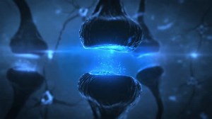 3d Animation Neuron Cells Sending Electrical Stock Footage Video (100% Royalty-free) 3646954285 | Shutterstock