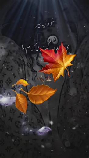 🍁Brwa🍁 (@brwa1616)’s videos with original sound - 🍁Brwa🍁