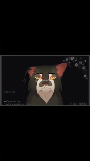 [ #SHADOWSIGHT ]—#warriorcats #warriorscat #warriorscats #warrior #cat #warriors #cats #wc #кв
