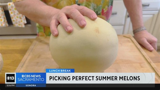 Picking perfect summer melons | Lunch Break with Michael Marks