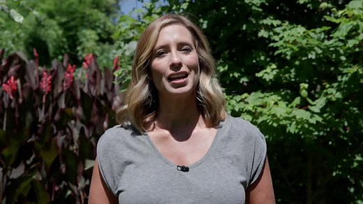 #sciencewithsteph #albedo