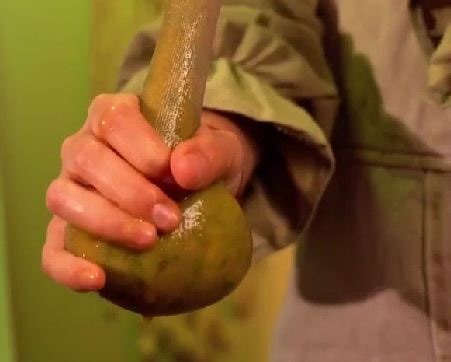 2M views · 5.1K reactions | Natural Wonders! Unique Projects Using Organic Materials! | 5-Minute Crafts | Facebook