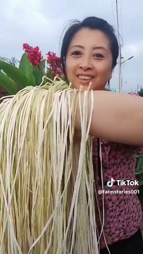 How to Make Delicious Dried Gourd for Vegetable Preservation