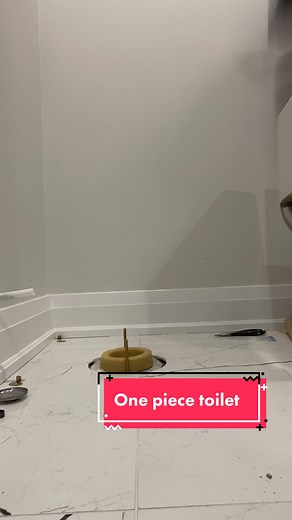 Installing and Testing a One Piece Toilet - Pro Tips Included
