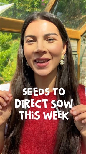 3 SEEDS to sow THIS WEEK