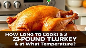 how long do you cook a 23 pound turkey and what temperature? - Test Food Kitchen