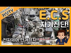 [자동차정비기능사 실기] 전자제어현가장치(ECS) 자기진단 방법(HI-DS 스캐너 활용)