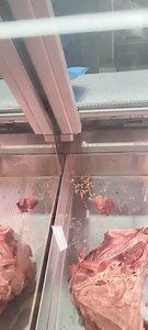 945K views · 3.3K reactions | Kwik Save Butchery Soshanguve BB Mall 冷冷冷冷 | Rybrox | Facebook