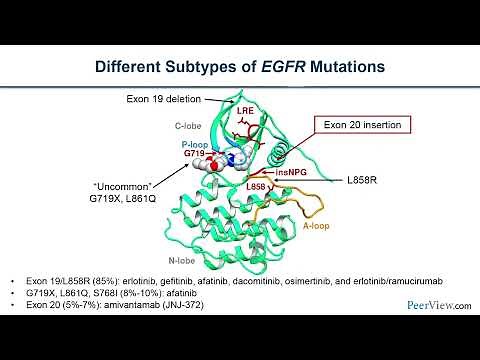 Testing for Common and Uncommon EGFR Mutations to Guide EGFR-Targeted Therapy in NSCLC