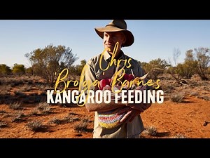 Kangaroo Feeding with Chris ‘Brolga’ Barns| LIVE from Aus, Alice Springs