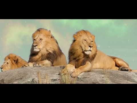 mini kids cartoon world. ABC Alphabet A to Z | wellcome to mini kids cartoon world