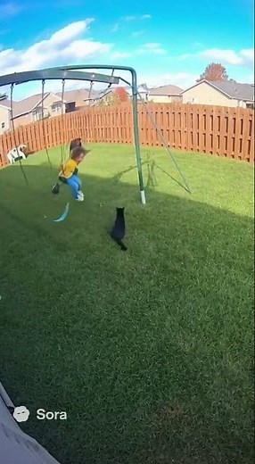 HERO Cat Saves Child from Dog Attack! Security Camera Footage