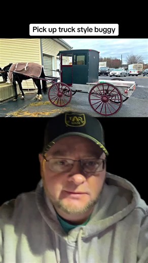 Why This Amish Buggy Is Not Allowed