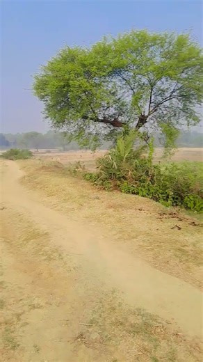 #जिसके जिसके जीवन में कठिनाई आ रहाहै#video #खान सर#❤️