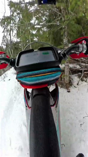 Sounds like an electric chainsaw, rides like a bat outta hell.