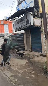 249K views · 1.5K reactions | #dogrescue #rescuedogs #adoptdontshop #doglovers #animalrescue #savethedogs #fureverhome #rescuedoglove #dogrescueteam #pawrescue #dogshelter #dogadoption #fosterdogs #puppylove #lovedogs #dogsofinstagram #doglife #instadog #dogwalker #caninecompanions #helpthedogs #rescuetails #compassionforpaws #petrescue #animaladvocacy #helpanimals #dogsinneed #everydogcounts #dogawareness #pawpatrol | Dog rescue team | Facebook