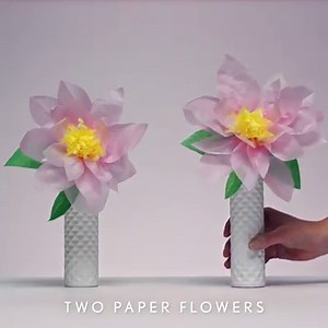 109K views · 193 reactions | New Air Wick PURE 9x more fragrance,...