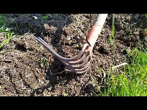 Lutter contre les mauvaises herbes sans désherbant et sans binette : la technique du faux semis