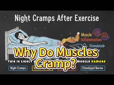Why Do Muscles Cramp? The Microscopic Battle Inside Your Muscles