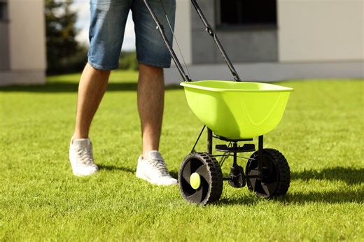 The 10 Types of Grass Explained by Landscaping Experts — Best Life