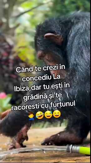 #concediu #vara | Radio 1 Manele