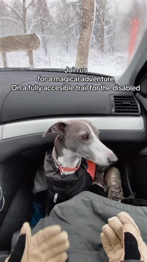 Exploring a Fully Accessible Winter Trail Adventure