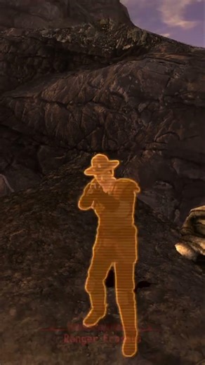 Did you know you can use Throwing Spears to pin enemy body parts to walls #fallout #newvegas