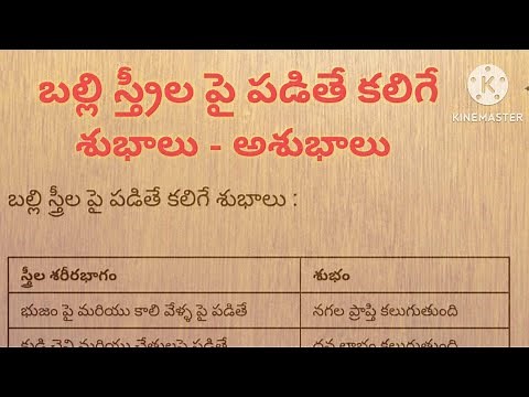 బల్లి స్త్రీల పై పడితే కలిగే శుభాలు - అశుభాలు | Balli sastram | Balli sastram in telugu